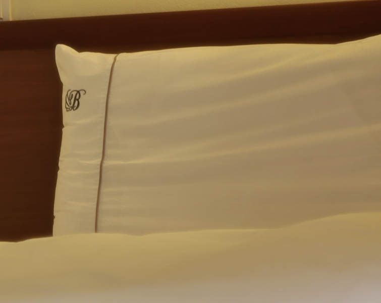 https://hotelbelvedere.com.mk/wp-content/uploads/2015/05/hotel_belvedere_ohrid_standard-11.jpg